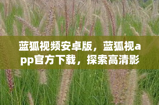 蓝狐视频安卓版，蓝狐视app官方下载，探索高清影视的便捷之旅