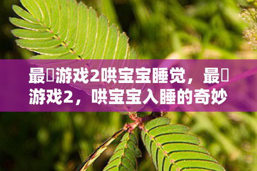 最囧游戏2哄宝宝睡觉，最囧游戏2，哄宝宝入睡的奇妙之旅