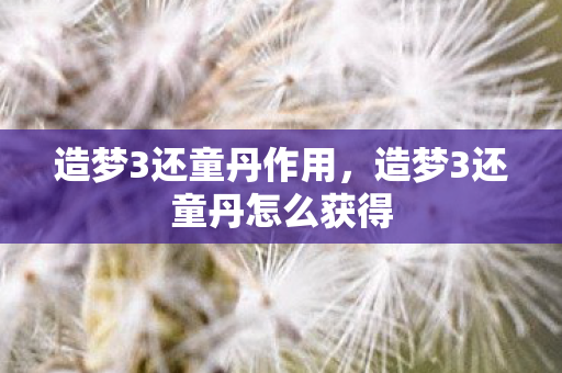 造梦3还童丹作用，造梦3还童丹怎么获得