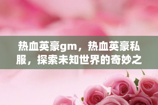 热血英豪gm，热血英豪私服，探索未知世界的奇妙之旅