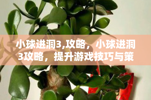 小球进洞3,攻略，小球进洞3攻略，提升游戏技巧与策略