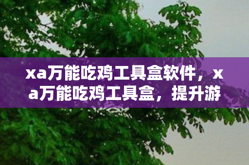 xa万能吃鸡工具盒软件，xa万能吃鸡工具盒，提升游戏体验的神奇工具