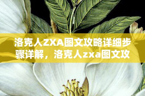 洛克人ZXA图文攻略详细步骤详解，洛克人zxa图文攻略