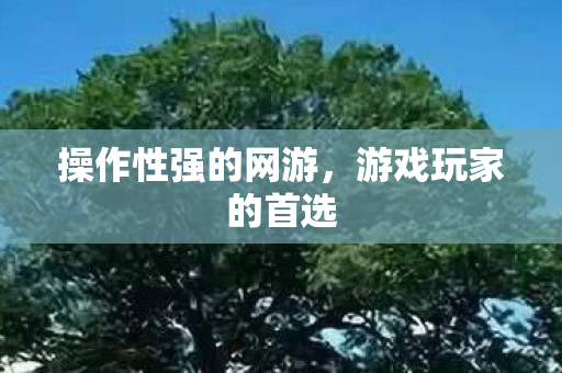 操作性强的网游，游戏玩家的首选