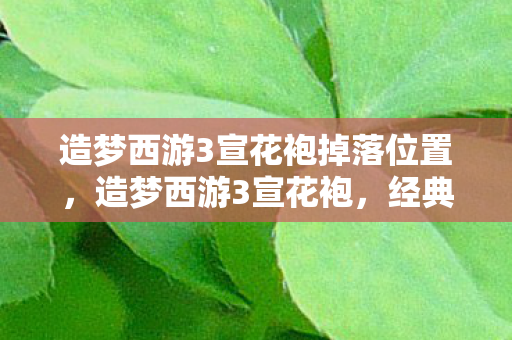 造梦西游3宣花袍掉落位置，造梦西游3宣花袍，经典再现，情怀不灭