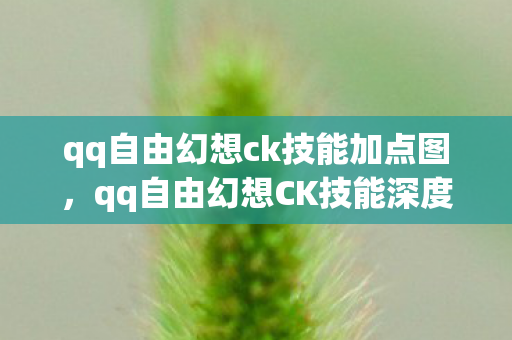 qq自由幻想ck技能加点图，qq自由幻想CK技能深度解析，掌握战斗节奏的关键