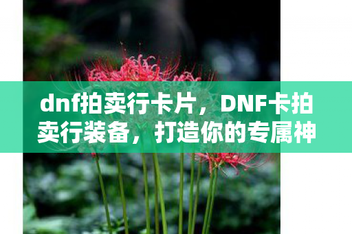 dnf拍卖行卡片，DNF卡拍卖行装备，打造你的专属神器