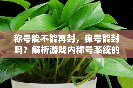 称号能不能再封，称号能封吗？解析游戏内称号系统的规范与限制