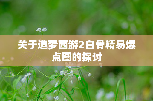 关于造梦西游2白骨精易爆点图的探讨