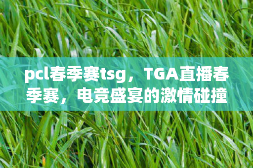 pcl春季赛tsg，TGA直播春季赛，电竞盛宴的激情碰撞