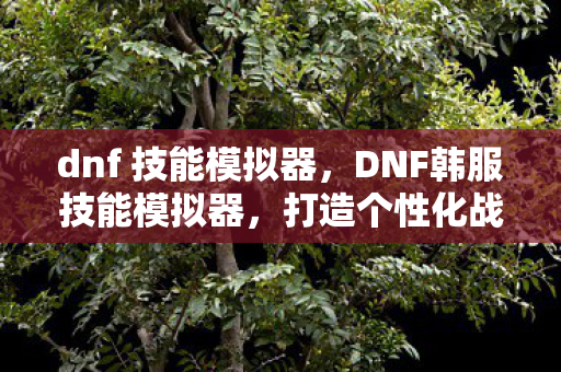 dnf 技能模拟器，DNF韩服技能模拟器，打造个性化战斗体验