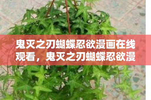 鬼灭之刃蝴蝶忍欲漫画在线观看，鬼灭之刃蝴蝶忍欲漫画，情感与欲望的交织