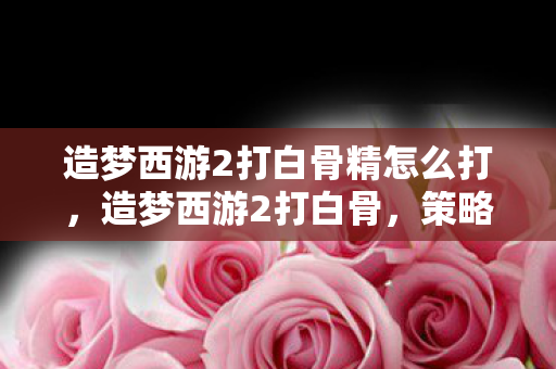 造梦西游2打白骨精怎么打，造梦西游2打白骨，策略与技巧的深度剖析