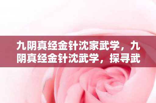 九阴真经金针沈家武学，九阴真经金针沈武学，探寻武侠世界的奥秘