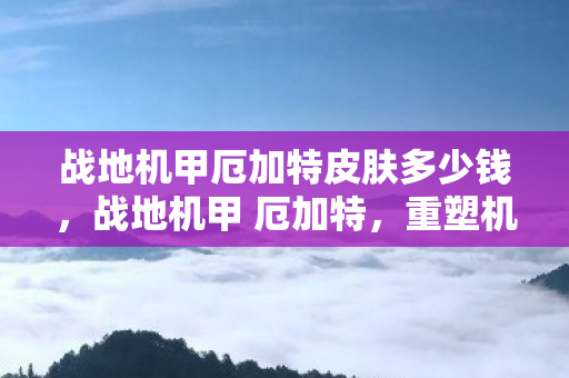战地机甲厄加特皮肤多少钱，战地机甲 厄加特，重塑机甲，点燃战火