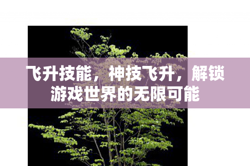 飞升技能，神技飞升，解锁游戏世界的无限可能