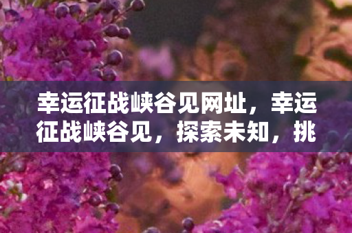 幸运征战峡谷见网址，幸运征战峡谷见，探索未知，挑战自我