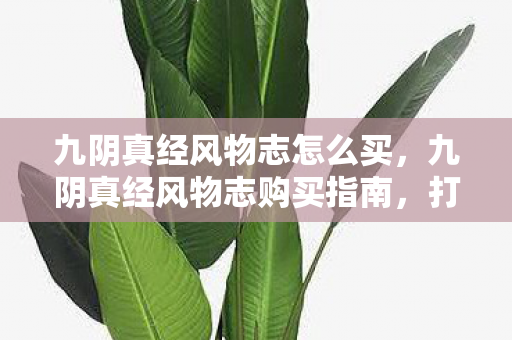 九阴真经风物志怎么买，九阴真经风物志购买指南，打造个性江湖之旅