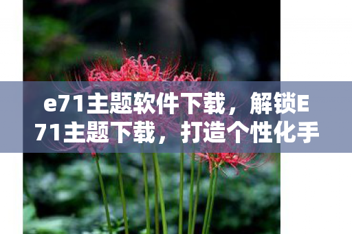 e71主题软件下载，解锁E71主题下载，打造个性化手机新体验