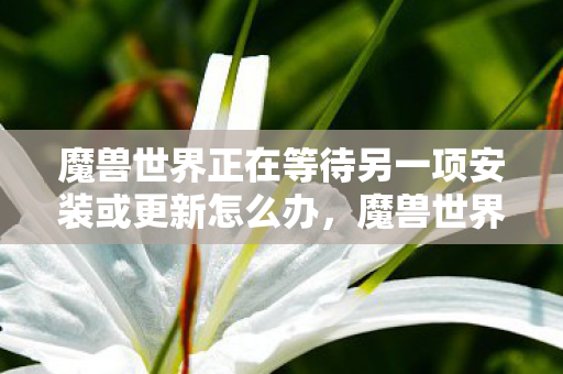 魔兽世界正在等待另一项安装或更新怎么办，魔兽世界，等待安装或更新的背后