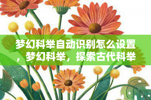 梦幻科举自动识别怎么设置，梦幻科举，探索古代科举制度的魅力与影响