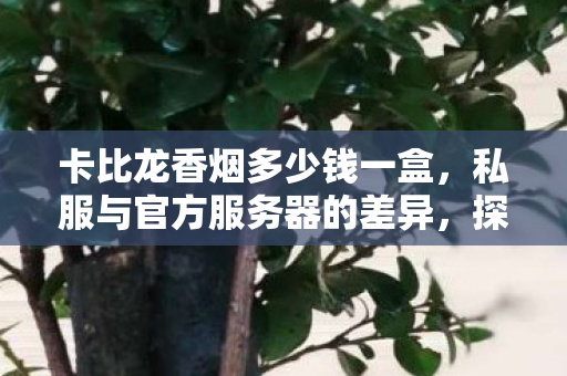 卡比龙香烟多少钱一盒，私服与官方服务器的差异，探索游戏世界的另一种选择