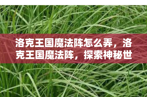 洛克王国魔法阵怎么弄，洛克王国魔法阵，探索神秘世界的奇幻之旅