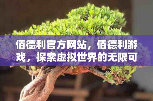佰德利官方网站，佰德利游戏，探索虚拟世界的无限可能
