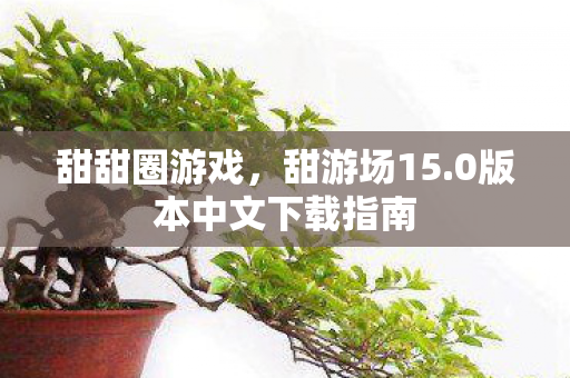 甜甜圈游戏，甜游场15.0版本中文下载指南