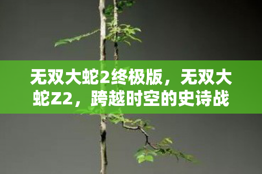 无双大蛇2终极版，无双大蛇Z2，跨越时空的史诗战斗