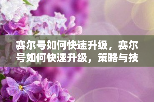 赛尔号如何快速升级，赛尔号如何快速升级，策略与技巧