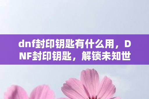 dnf封印钥匙有什么用，DNF封印钥匙，解锁未知世界的神秘钥匙