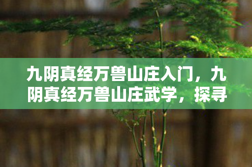 九阴真经万兽山庄入门，九阴真经万兽山庄武学，探寻武侠世界的独特魅力