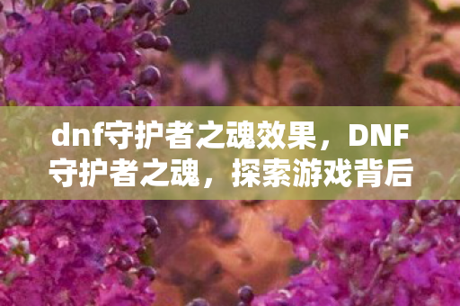 dnf守护者之魂效果，DNF守护者之魂，探索游戏背后的故事与情感
