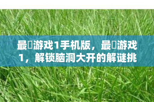 最囧游戏1手机版，最囧游戏1，解锁脑洞大开的解谜挑战