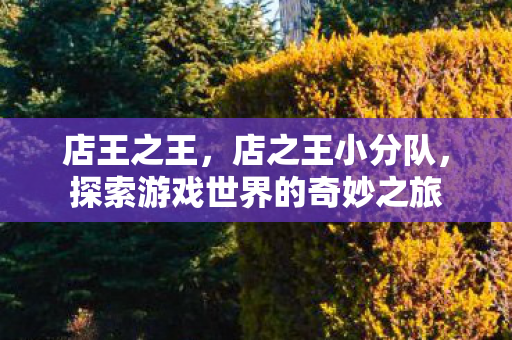 店王之王，店之王小分队，探索游戏世界的奇妙之旅