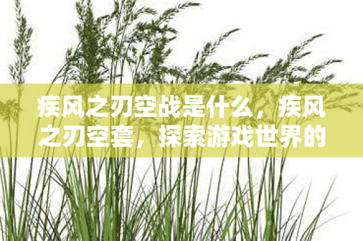 疾风之刃空战是什么，疾风之刃空套，探索游戏世界的独特魅力
