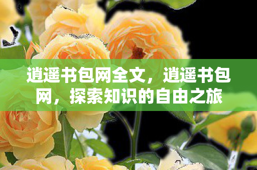 逍遥书包网全文，逍遥书包网，探索知识的自由之旅