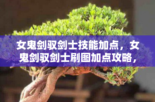女鬼剑驭剑士技能加点，女鬼剑驭剑士刷图加点攻略，打造高效战斗体验