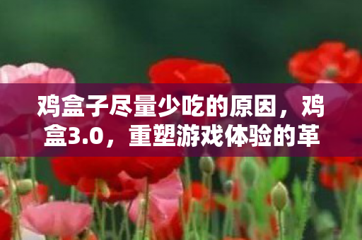 鸡盒子尽量少吃的原因，鸡盒3.0，重塑游戏体验的革新工具