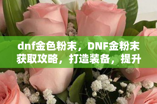 dnf金色粉末，DNF金粉末获取攻略，打造装备，提升战力