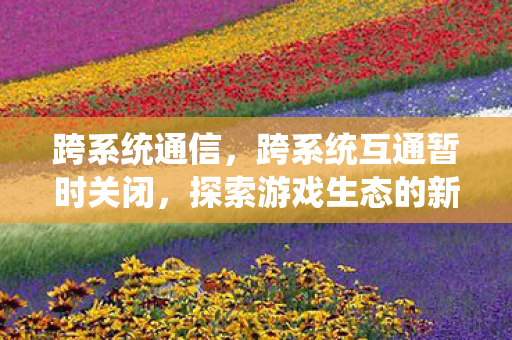 跨系统通信，跨系统互通暂时关闭，探索游戏生态的新挑战与机遇