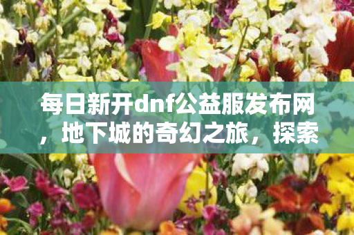 每日新开dnf公益服发布网，地下城的奇幻之旅，探索DNF私服的独特魅力
