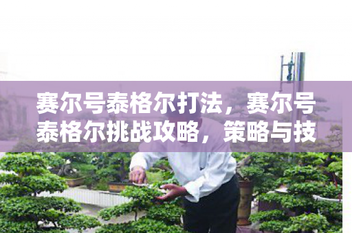 赛尔号泰格尔打法，赛尔号泰格尔挑战攻略，策略与技巧