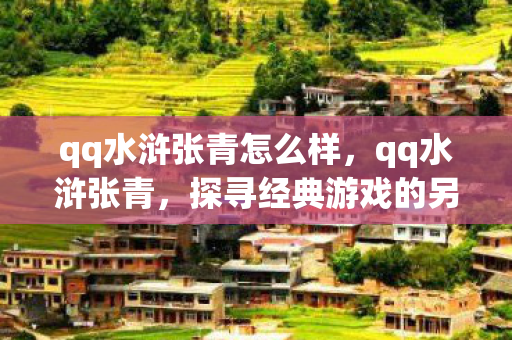 qq水浒张青怎么样，qq水浒张青，探寻经典游戏的另类玩法与社区文化