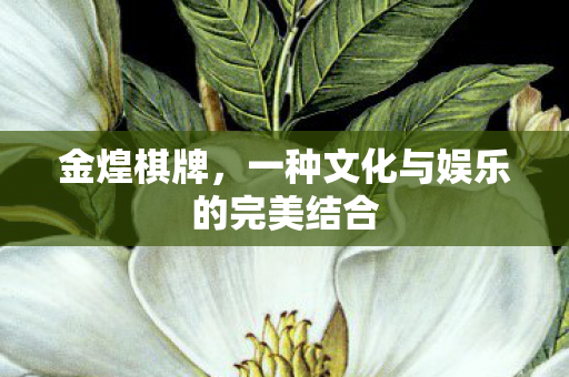 金煌棋牌,一种文化与娱乐的完美结合 金煌棋牌,一种文化与娱乐的完美结合
