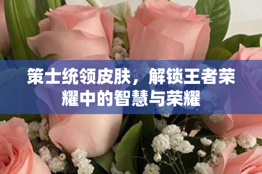 策士统领皮肤，解锁王者荣耀中的智慧与荣耀