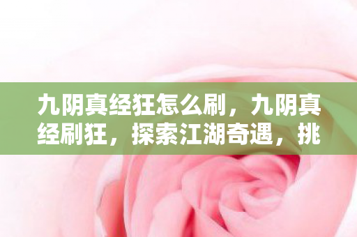 九阴真经狂怎么刷，九阴真经刷狂，探索江湖奇遇，挑战极限战力