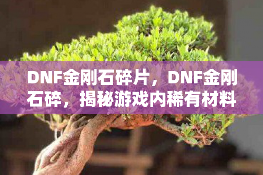 DNF金刚石碎片，DNF金刚石碎，揭秘游戏内稀有材料的珍贵价值与应用