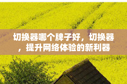 切换器哪个牌子好，切换器，提升网络体验的新利器